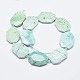Natural Turquoise Beads Strands G-G745-14-2