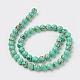 Sea Shell and Synthetic Turquoise Assembled Beads Strands G-G758-07-12mm-2