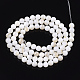 Chapelets de perles en coquille d'eau douce  SHEL-T011-01-5mm-2