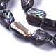 Brins de perles en coquille d'ormeau naturel / coquille de paua SSHEL-F303-08B-3