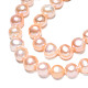 Natural Cultured Freshwater Pearl Beads Strands PSB003Y-2-5