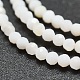Perles de coquillage blanc naturel G-O166-26-2mm-3