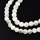 Brins de perles de coquillage blanc naturel X-SSHEL-N003-144C-01-3