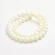 Natural Freshwater Shell Round Bead Strands S016Q026-3