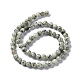 Chapelets de perles en jaspe sésame naturel / jaspe kiwi X-G-R345-6mm-12-3