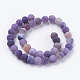 Natural Weathered Agate Beads Strands G-G589-10mm-M-2