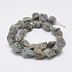 Raw Rough Natural Labradorite Beads Strands G-F403-12-2