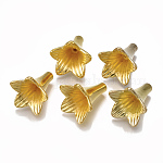 Perlkappen aus Kunststoff mit 5 Blütenblättern, Blume, golden, 24x22.5x21.5 mm, Bohrung: 1.5 mm, ca. 270~310 Stk. / 500 g