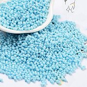 Выпечка краска стеклянные бусины SEED-A033-05P