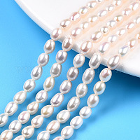 Natural Cultured Freshwater Pearl Strands, Idea for Mother's Day Gift, Rice  Beads, White, 5.6~7x4~5mm, Hole: 0.8mm, about 27pcs/strand, 7.1 inch(18cm)  long