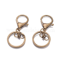 Eisen-Legierung Karabinerverschluss Schlüsselbund&nbsp;KEYC-D016-AB