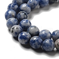 Fili di perle di diaspro macchia blu naturale&nbsp;G-P476-01C-02