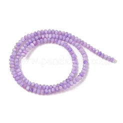 Fili di perline tinti in conchiglia naturale d'acqua dolce&nbsp;SHEL-R100-13A-01
