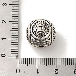 Tibetischer stil legierung perlen&nbsp;TIBEB-L007-22AS