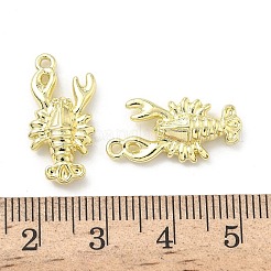 Pendentifs en alliage océanique&nbsp;FIND-Z108-02LG-01