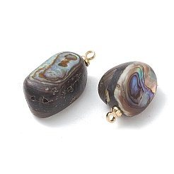 Natur Paua Muschel Anhänger&nbsp;PALLOY-JF05229