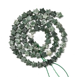 Natürliche grüne Fleck Jaspis Perlen Stränge&nbsp;G-H087-C01-01
