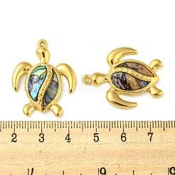 Paua naturale pendenti shell&nbsp;STAS-P341-02G-01