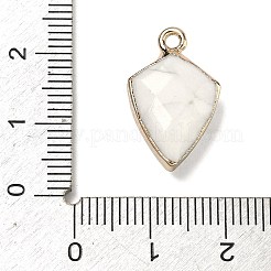 Natürliche Howlith Anhänger&nbsp;G-K422-01G-09