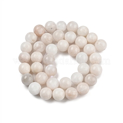 Brins de perles de pierre de lune arc-en-ciel naturel&nbsp;G-N328-024-10mm-AB