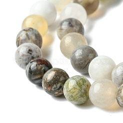 Bambou naturel feuille agate brins de perles rondes&nbsp;G-M248-6mm-04