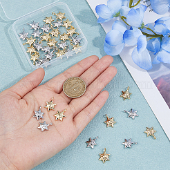 40pcs 2 pendentifs en alliage de couleurs&nbsp;FIND-DC0005-50