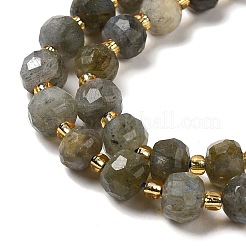 Natur Labradorit Perlen Stränge&nbsp;G-P508-A20-01