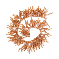 Undurchsichtige Acryl-Perlenstränge aus Korallenimitat&nbsp;SACR-P033-02B-07