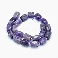 Natürlichen Amethyst Perlen Stränge&nbsp;G-G765-23
