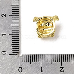 Branelli del cucciolo della lega&nbsp;PALLOY-F143-01G