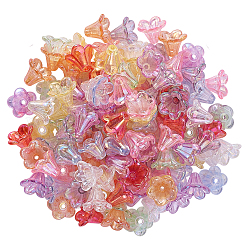 Capuchon de perles acryliques ab plaquées&nbsp;PACR-CJ0001-14