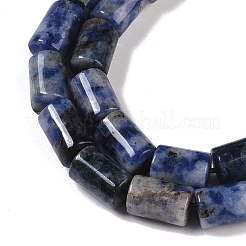 Fili di perle di diaspro macchia blu naturale&nbsp;G-C128-A27-01