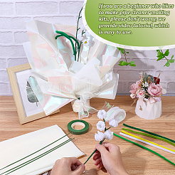 DIY Chenille-Stiel-Lametta-Girlanden-Bastelsets&nbsp;DIY-SC0033-14C