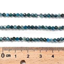 Natürliche Apatit Perlen Stränge&nbsp;G-RM2025-28-3mm