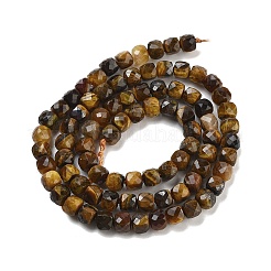 Fili di perline di occhio di tigre naturale&nbsp;G-H042-A04-03