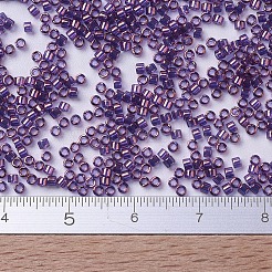 Miyuki Delica Perlen&nbsp;SEED-MY11-DB0117