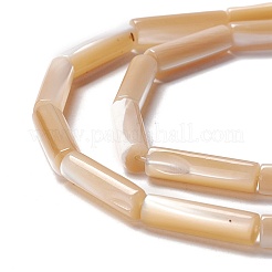 Perle trochid naturali / conchiglie trochus&nbsp;SSHEL-O001-26A