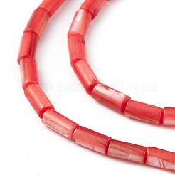 Brins de perles d'eau douce naturelles teints en coquille&nbsp;SHEL-M018-11-07