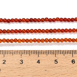 Cuentas de cornalina naturales hebras&nbsp;G-Z116-A22-2mm