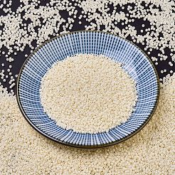 Miyuki Delica Perlen klein&nbsp;X-SEED-J020-DBS0732