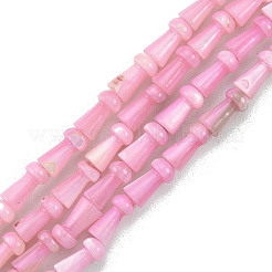Naturali di acqua dolce perline shell fili&nbsp;SHEL-G013-02