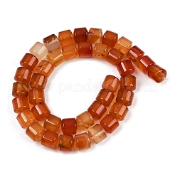 Fili di perline agata rosso naturale&nbsp;G-G275-D06-10x10mm