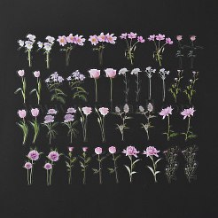 40 set di adesivi adesivi per animali domestici impermeabili&nbsp;DIY-K032-56F