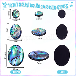 18 Stück 3 Stile natürliche Paua-Muschel-Cabochons&nbsp;SSHEL-PH0001-43