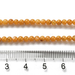 Eau douce naturelle de coquillage perles brins&nbsp;SHEL-H003-03E