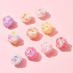 10pcs 10 perles de résine de couleurs&nbsp;RESI-FS0002-24B