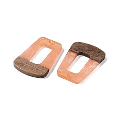 Colgantes de resina & madera&nbsp;WOOD-F015-11B