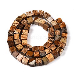 Natürliches Bild Jaspis Perlen Stränge&nbsp;G-T139-6x6-27A