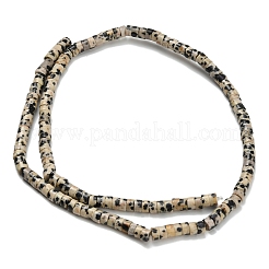 Natur Dalmatiner Jaspis Perlen Stränge&nbsp;G-Z110-A14-2x4mm