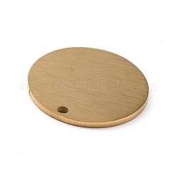 Pendentifs en acier inoxydable 304 avec placage ionique (IP)&nbsp;STAS-F271-02C-G